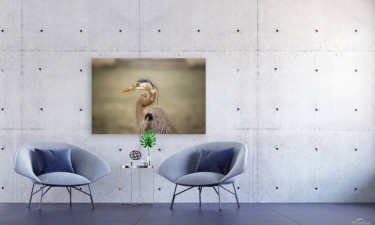 Store Key Biscayne AE2A9010 Reproduction