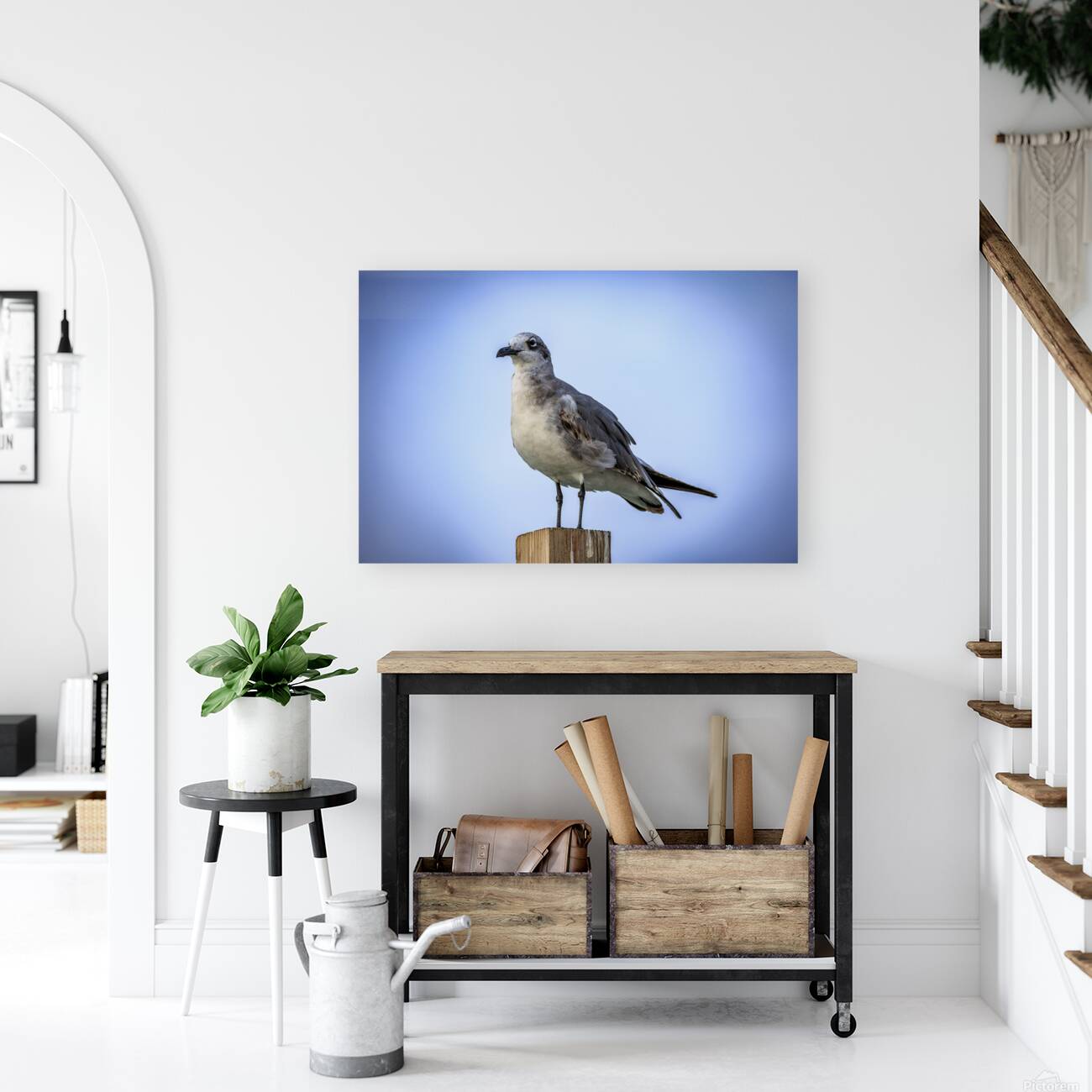 Store Dania Beach AE2A8868 Reproduction