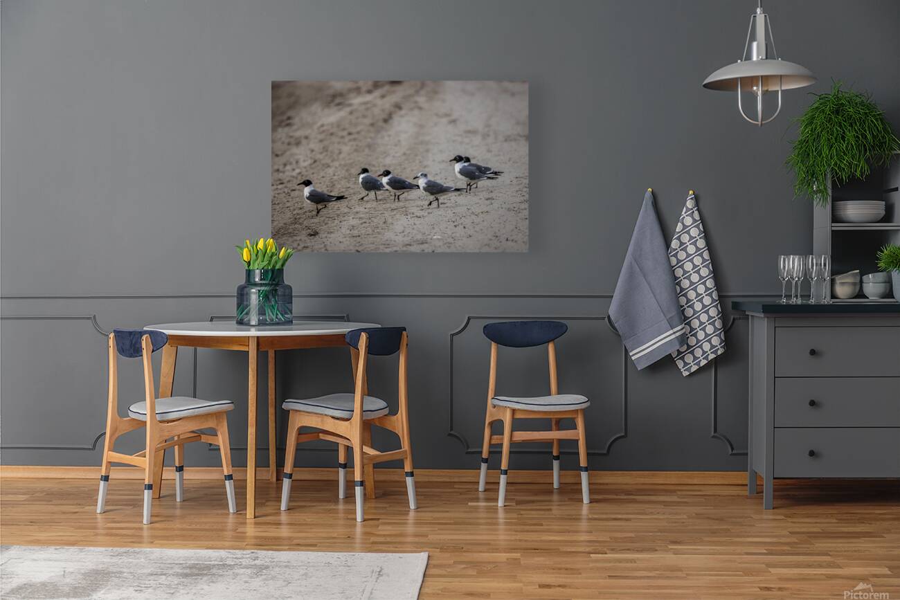 Store Dania Beach AE2A8947 Reproduction