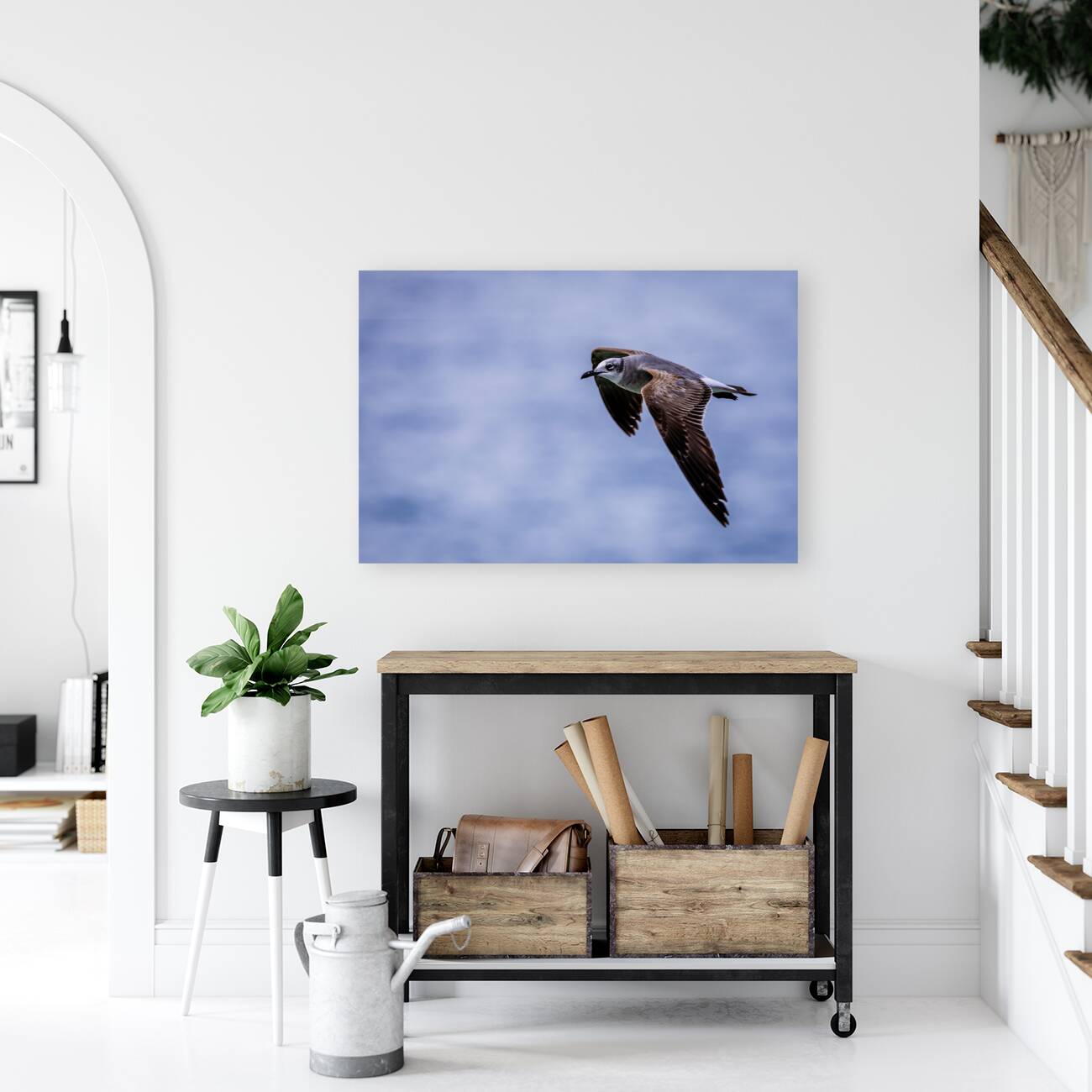 Store Dania Beach AE2A8885 Reproduction