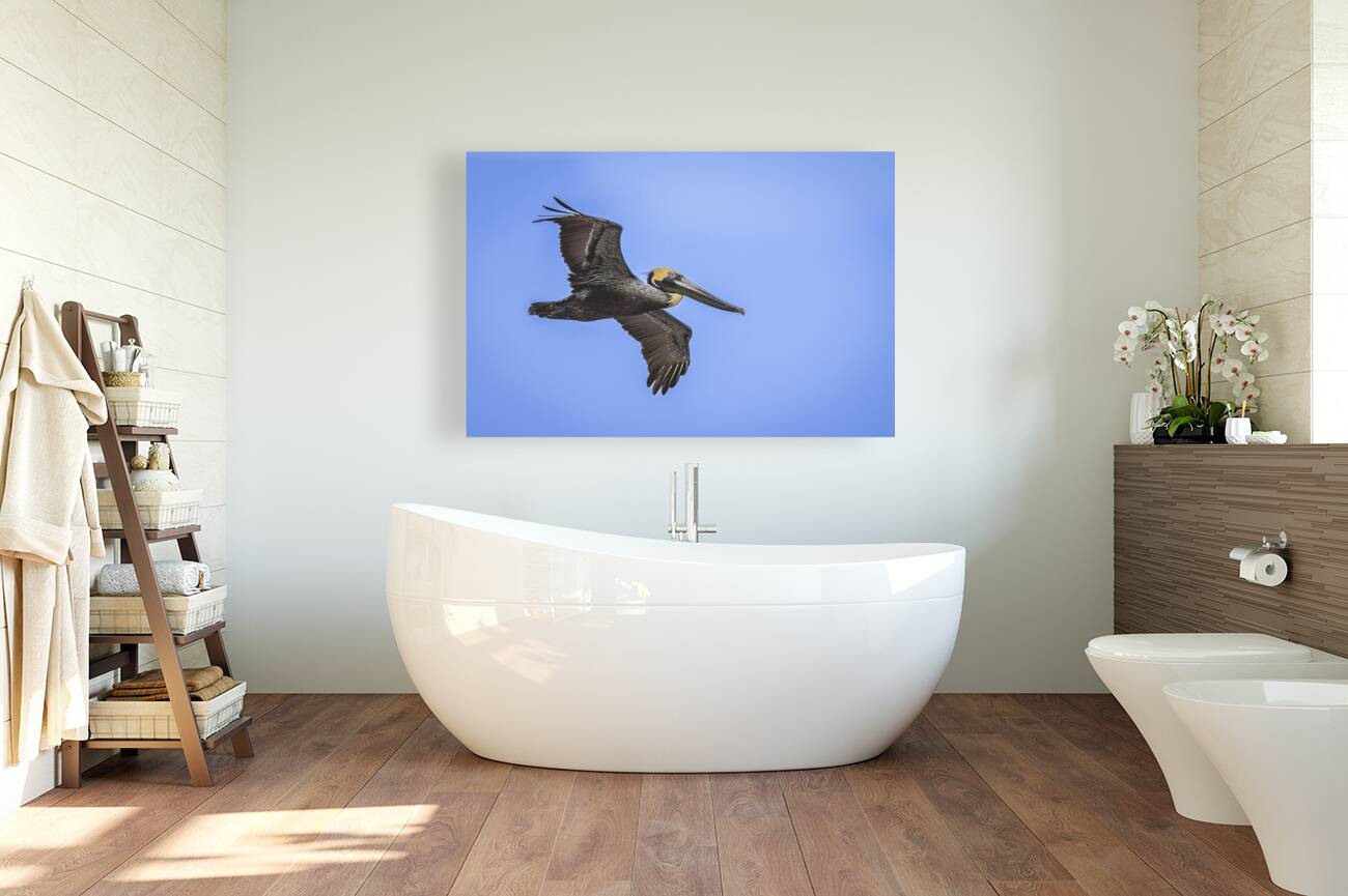 Store Dania Beach AE2A8905 Reproduction