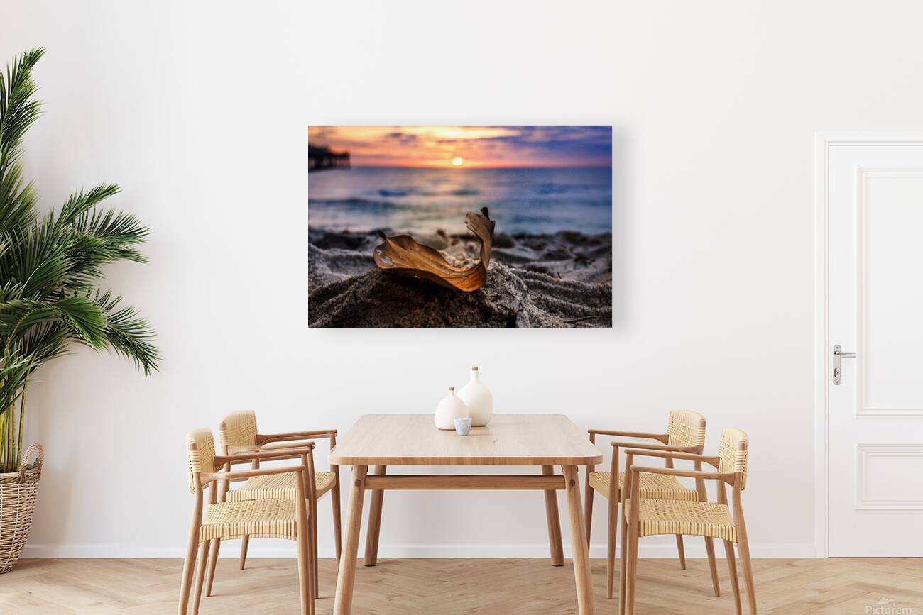 Store Dania Beach AE2A8654 Reproduction