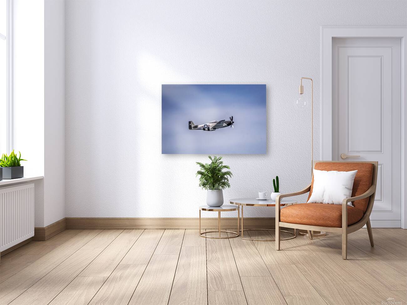 Store FLLAirShow AE2A3758 Reproduction