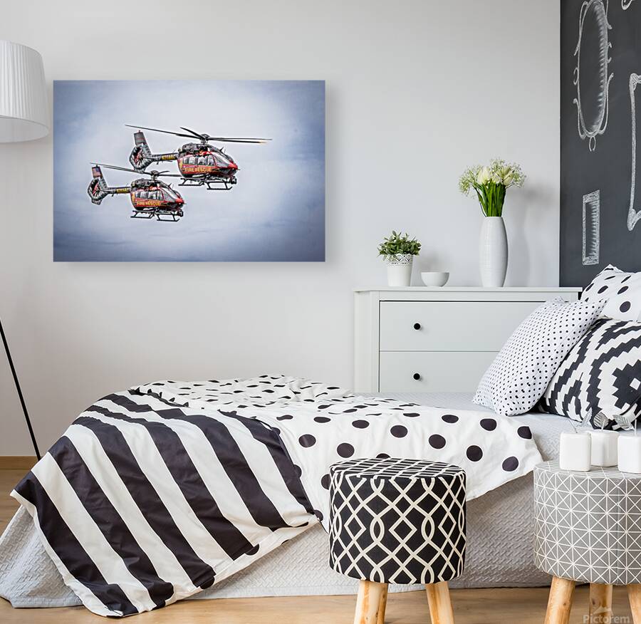 Store FLLAirShow AE2A3613 Reproduction