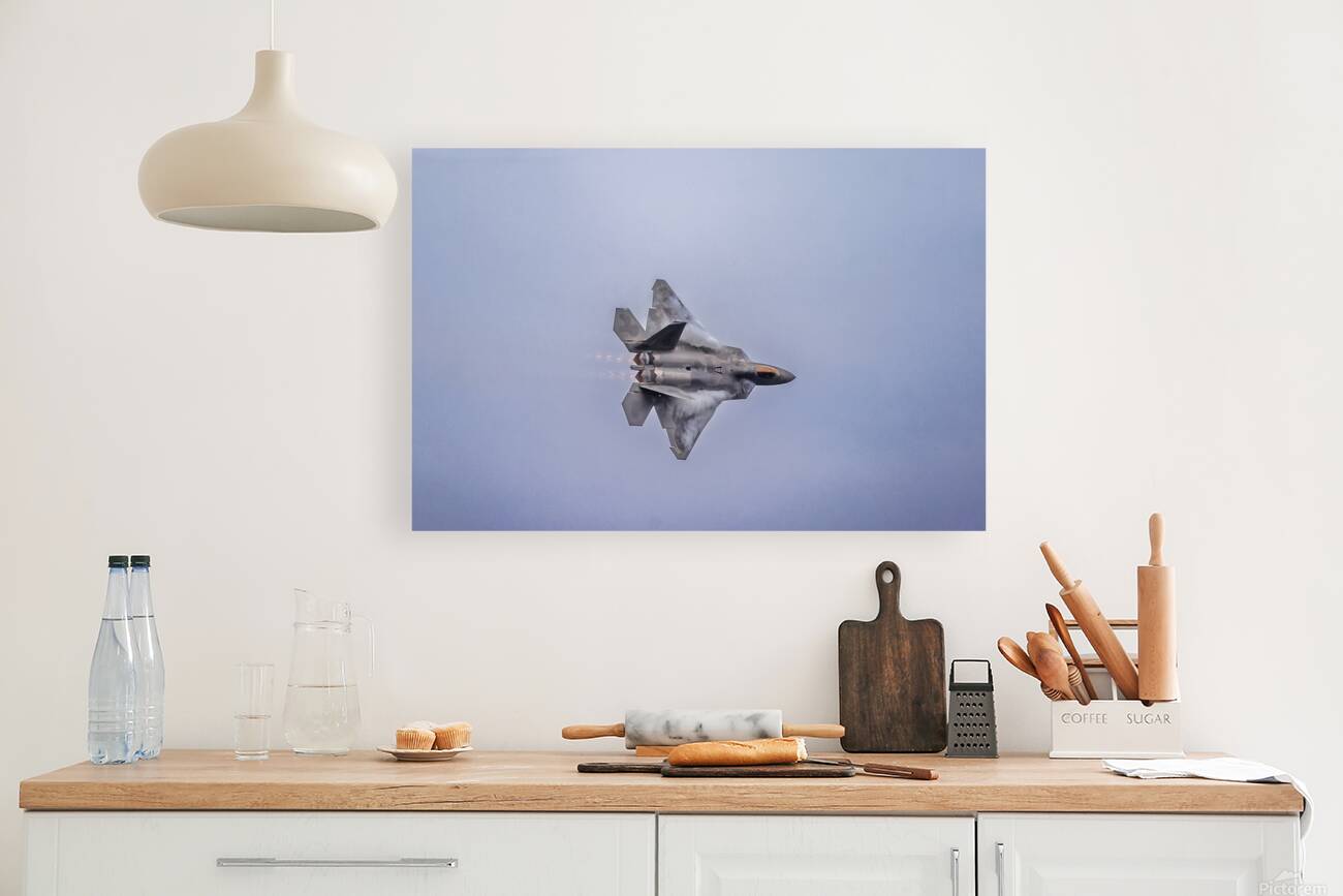 Store FLLAirShow AE2A4054 Reproduction