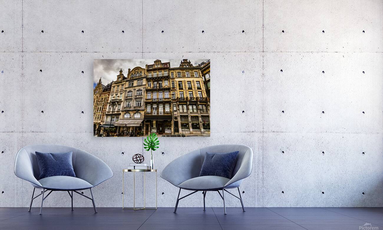 Belgium E2A8890 Reproduction