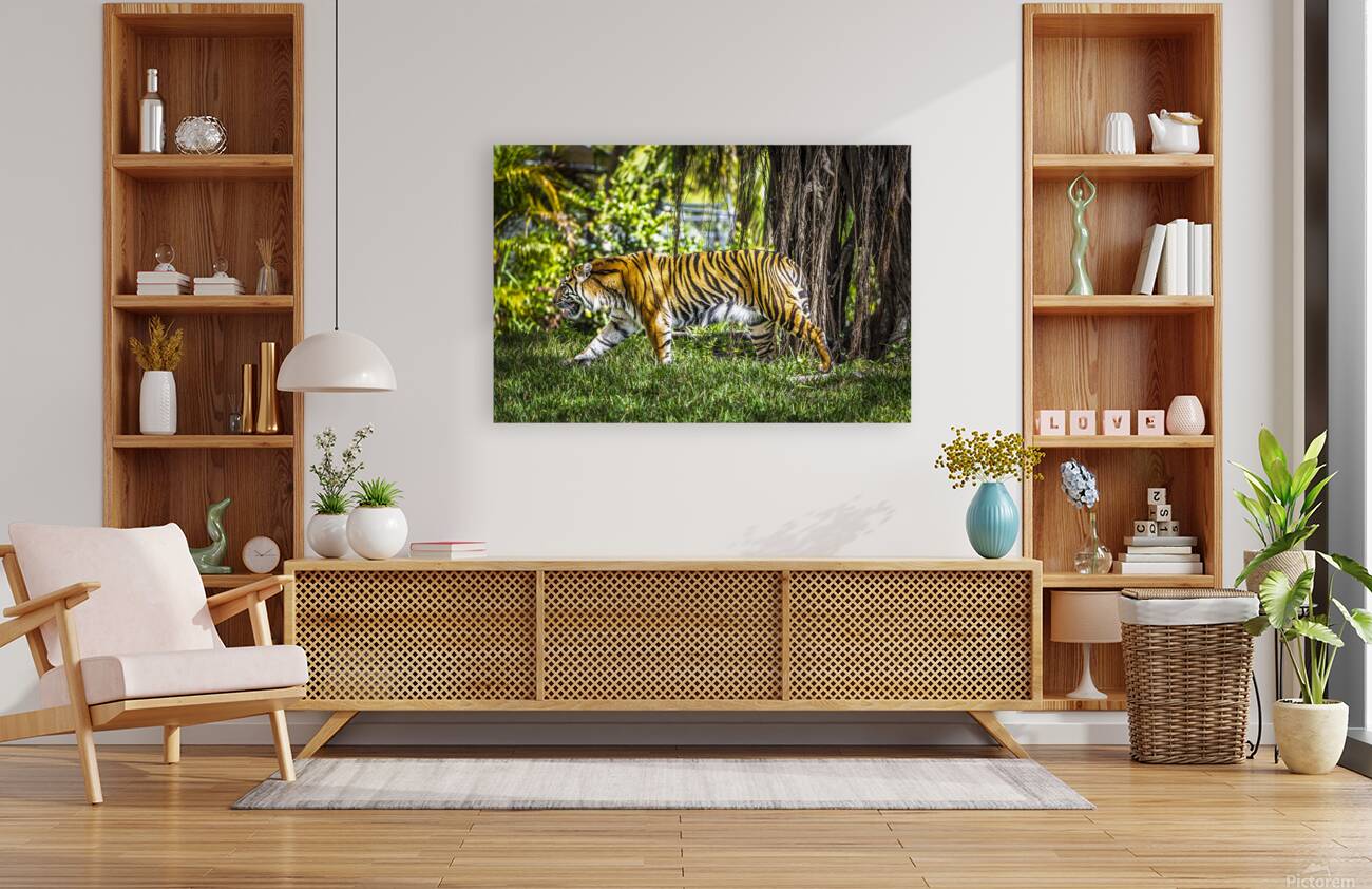 Wildlife 4 Reproduction