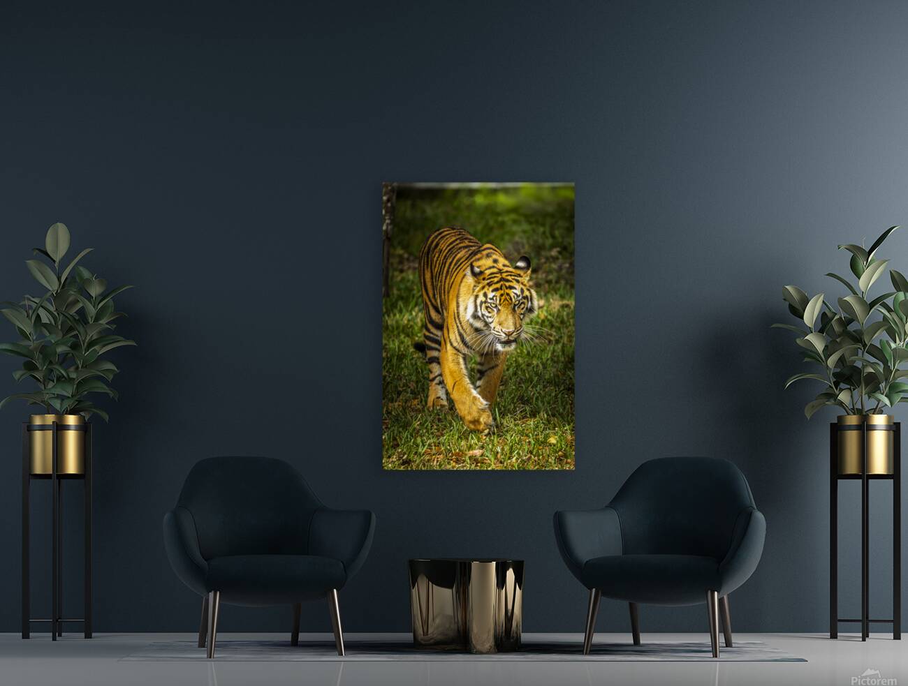 Wildlife 3 Reproduction