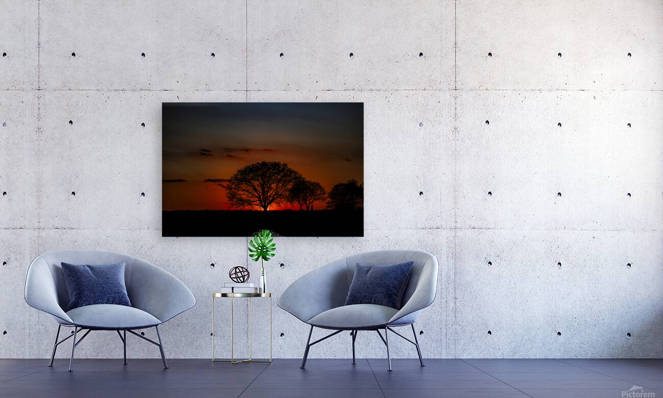 Vista View MG 7330 Reproduction