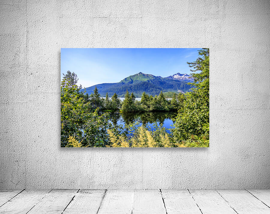 Store Alaska5L3A7515 Wall Preview