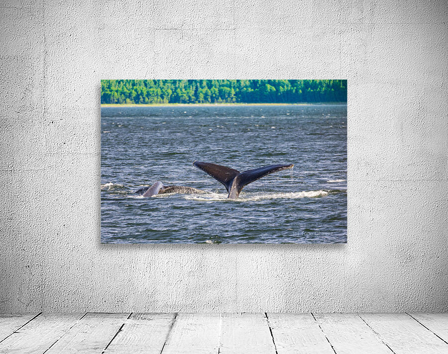 Store Alaska5L3A7728 Wall Preview