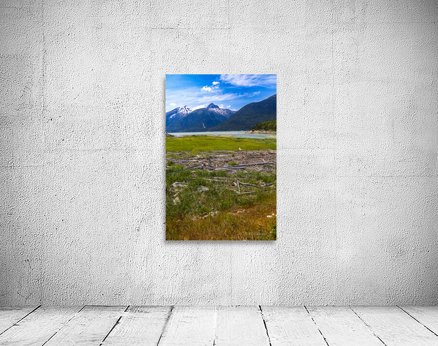 Store Alaska5L3A8128 Wall Preview