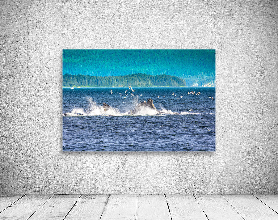 Store Alaska5L3A7688 Wall Preview