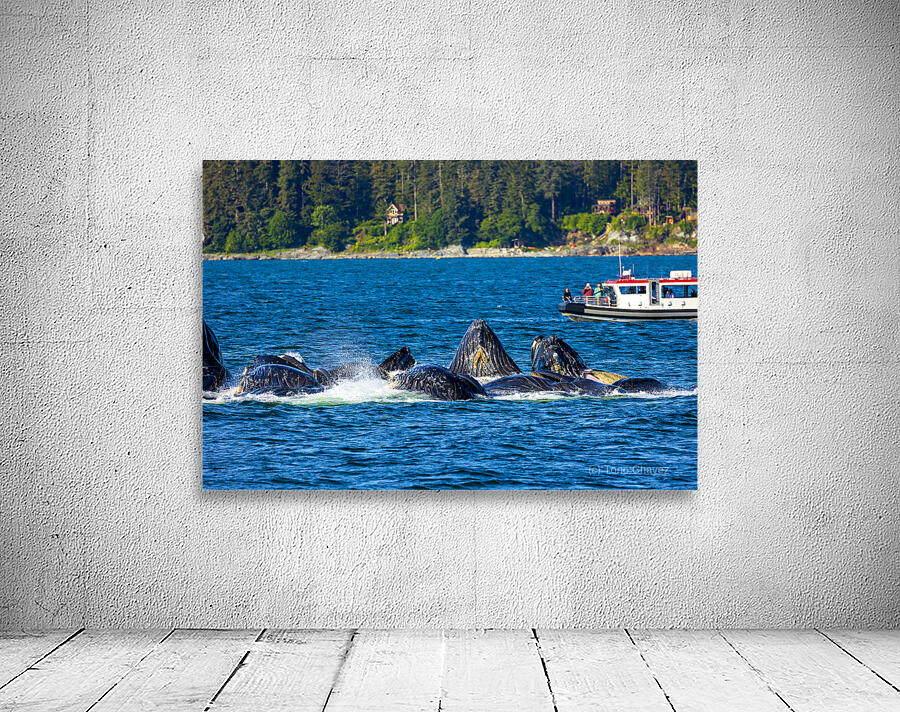 Store Alaska5L3A7546 Wall Preview