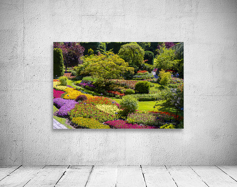 Store Victoria 5L3A8632 Wall Preview