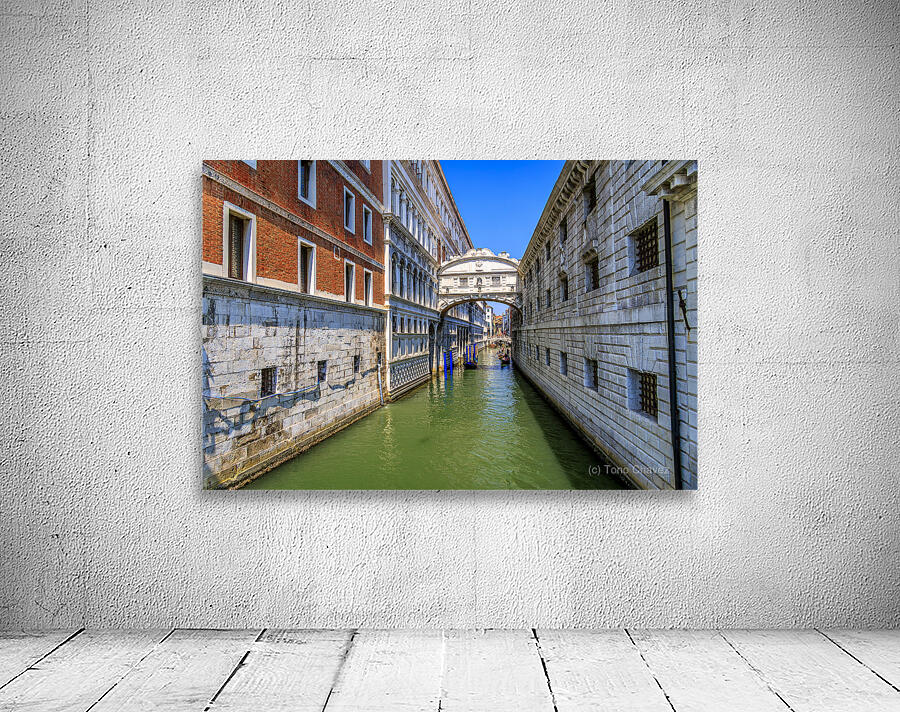 Store Venice 5L3A4637 Edit Wall Preview