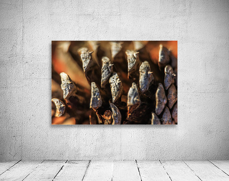 Store Georgia 5L3A0127 Wall Preview