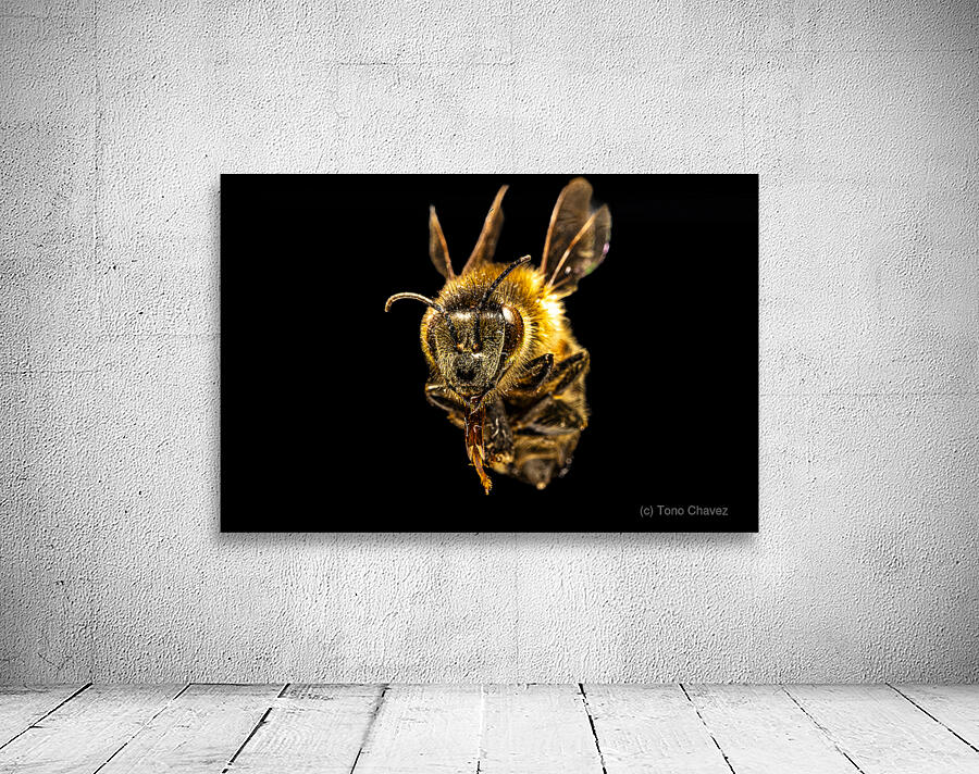 Store Macro 5L3A2752 Wall Preview