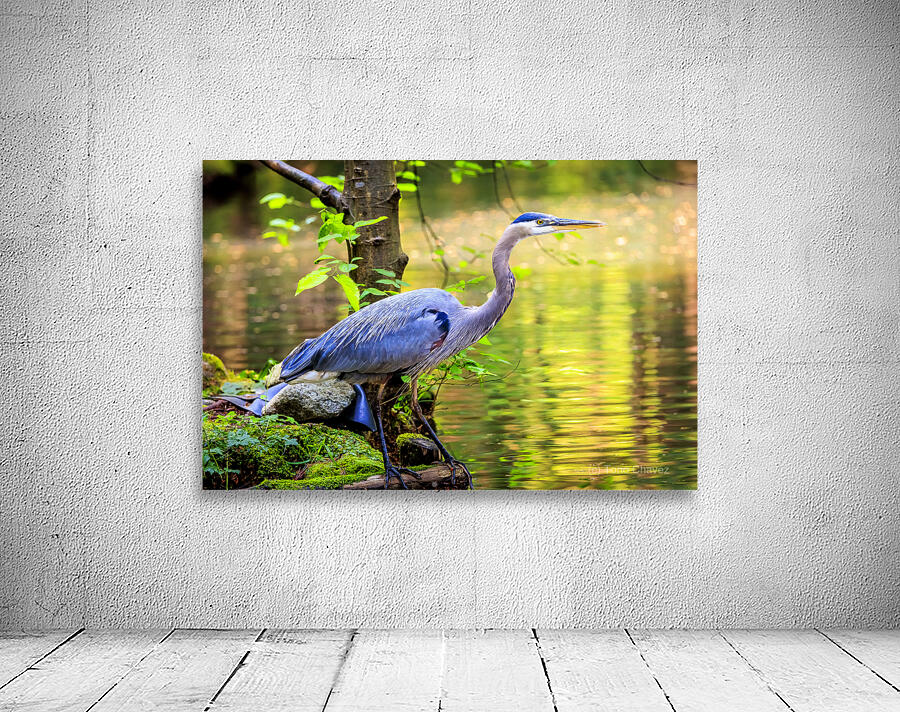 Store Vancouver 5L3A6854 Wall Preview