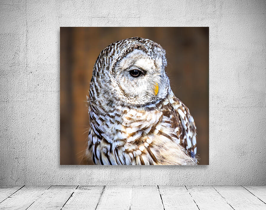 Store Vancouver 5L3A6870 Wall Preview