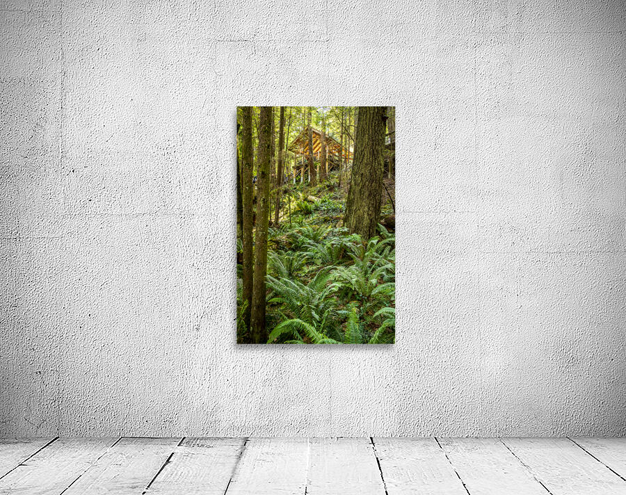 Store Vancouver 5L3A6895 Wall Preview