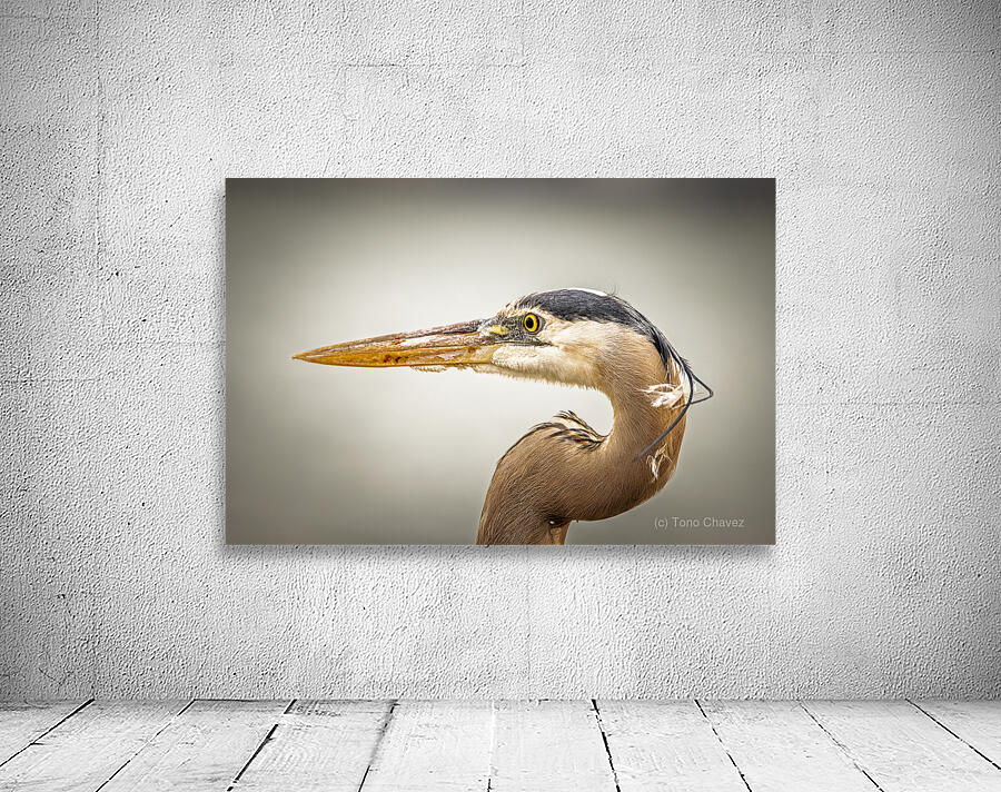 Store Key Biscayne AE2A9025 Wall Preview