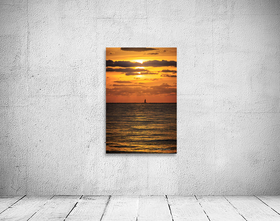 Store Dania Beach AE2A8665 Wall Preview