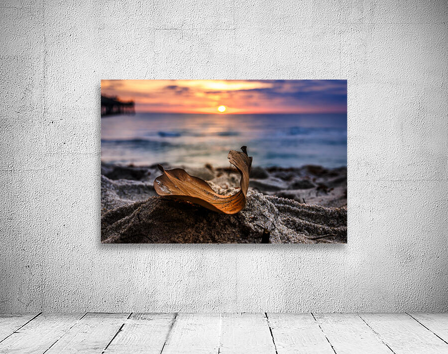 Store Dania Beach AE2A8654 Wall Preview