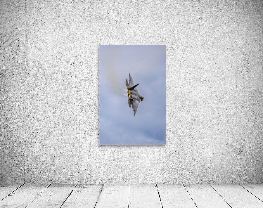 Store FLLAirShow AE2A4043 Wall Preview