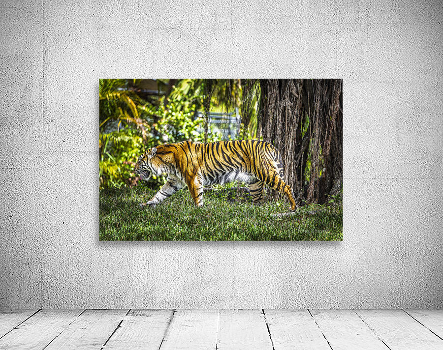 Wildlife 4 Wall Preview