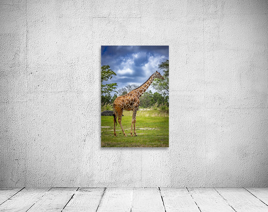 Wildlife 7 Wall Preview