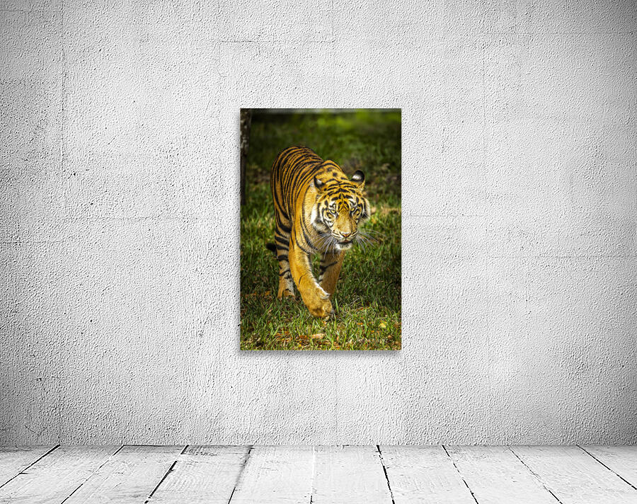 Wildlife 3 Wall Preview