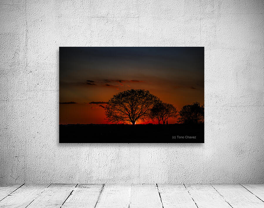 Vista View MG 7330 Wall Preview