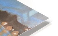 MAC Monet HD Metal print