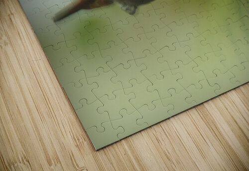  Hummingbird in flight  CMG Images puzzle