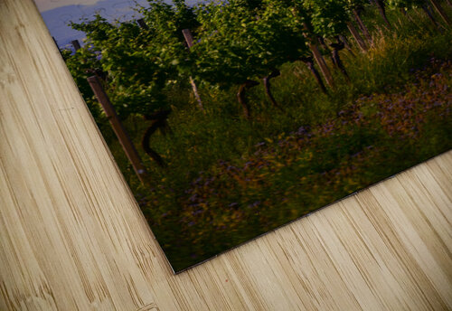 Vineyard with lantern at Sunset CMG Images puzzle
