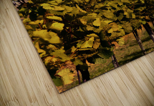 Vineyard at Sunset CMG Images puzzle