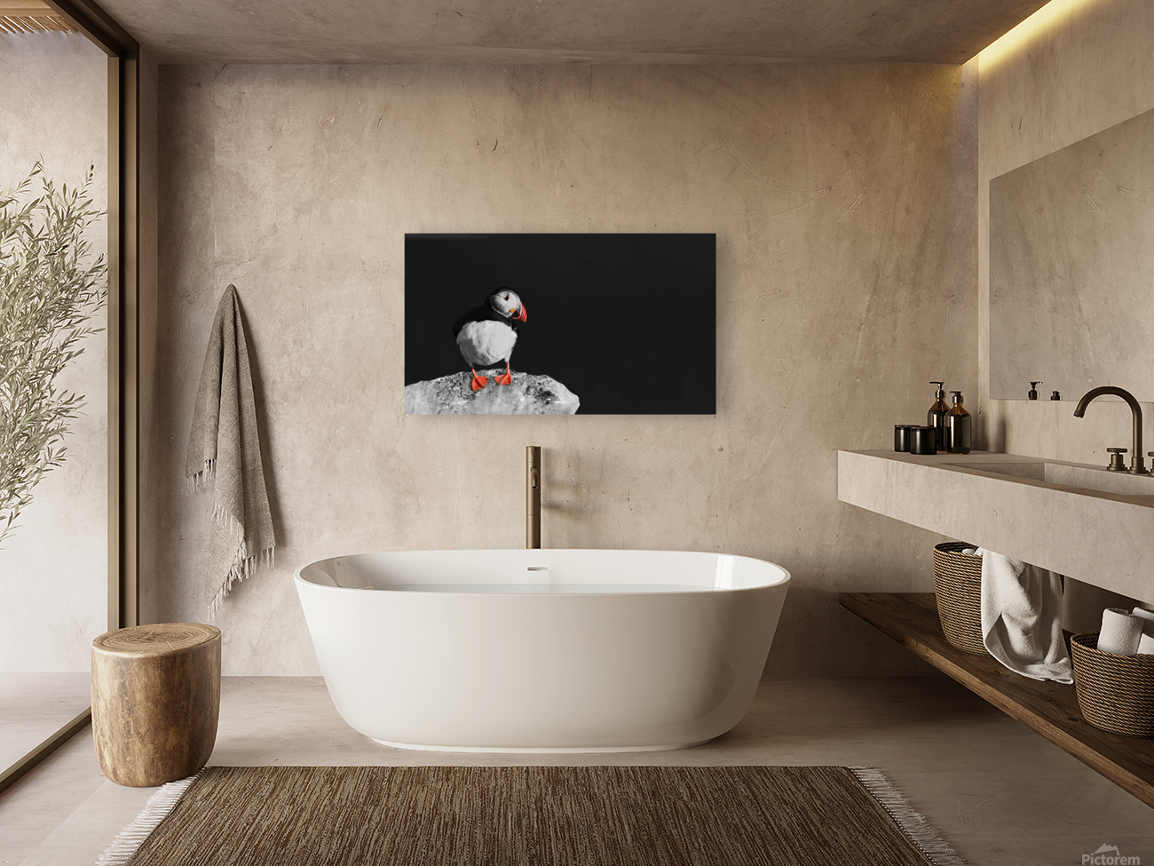 Puffin against black background Reproduction