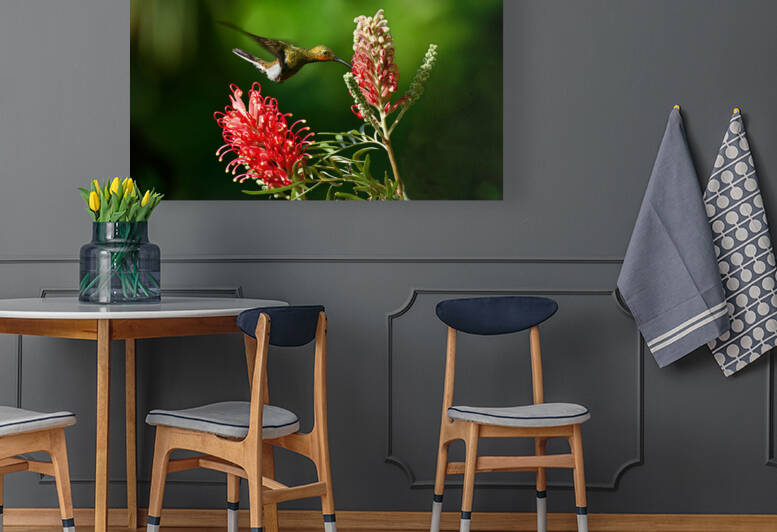 The hummingbird and the flower by CMG Images