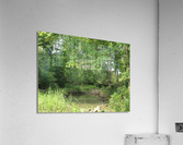 IMG 0008 2 Acrylic Print