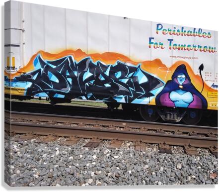 RAIL ART Canvas Print