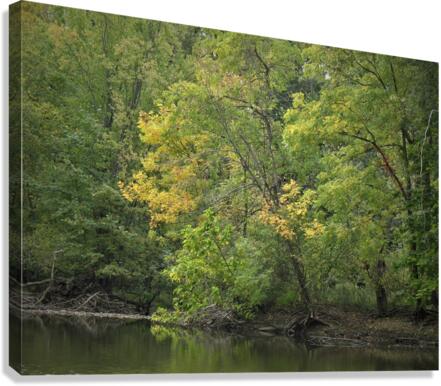 IMG 0107 Canvas Print