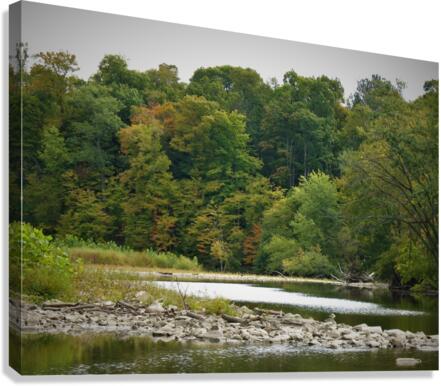 IMG 0104 Canvas Print