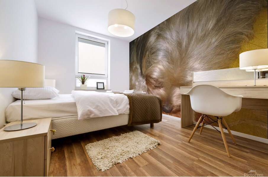 RILEY SLEEPING Mural print