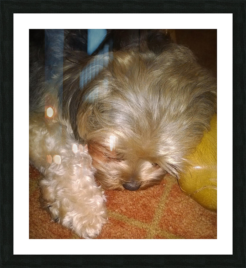 RILEY SLEEPING Picture Frame print