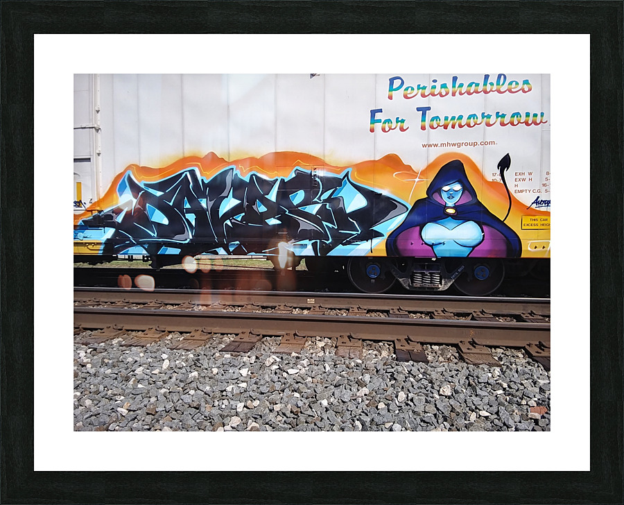 RAIL ART Picture Frame print