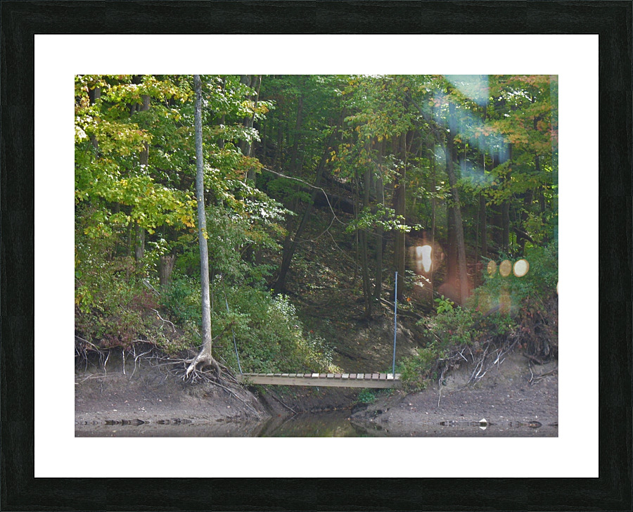 IMG 0121 Picture Frame print