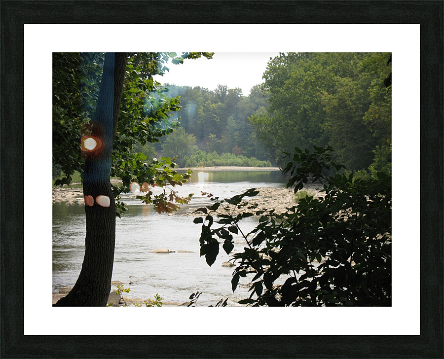 IMG 0013 Picture Frame print