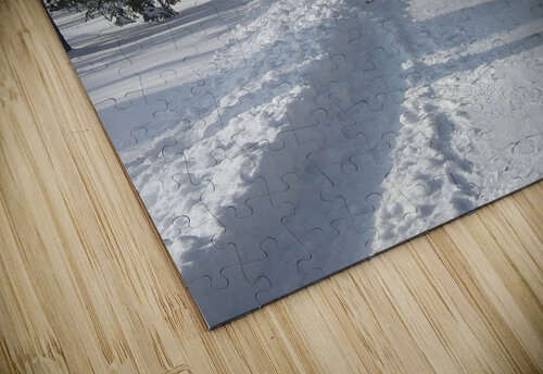 WINTER LANE BRUCE J FREDERICK puzzle