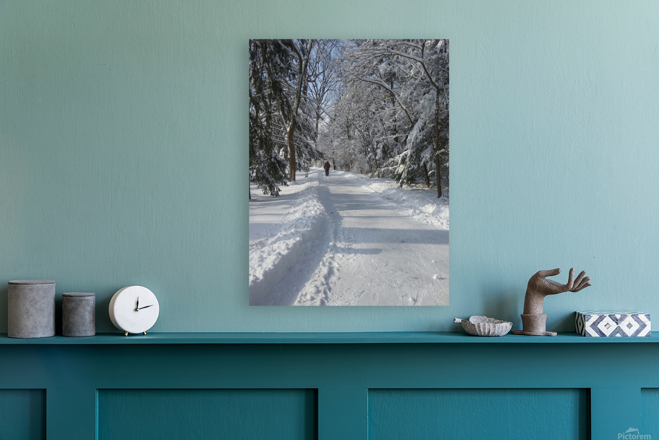 WINTER LANE Reproduction